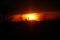 Imagine atasata: IMG_1183.JPG